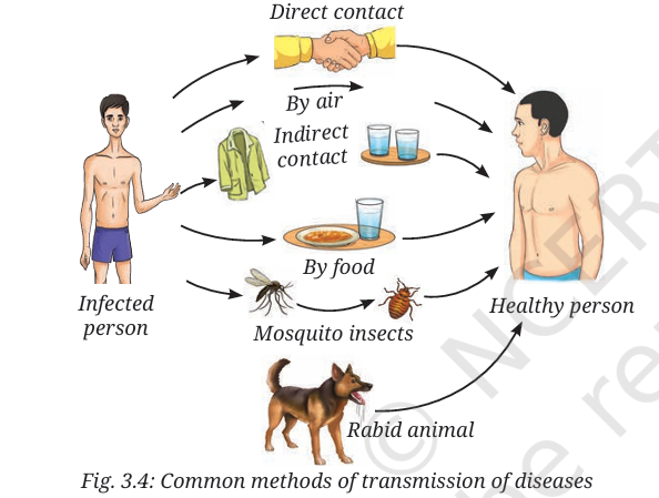 Common methods of transmission of diseases
